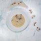 Risotto mit Champignons im Teller angerichtet